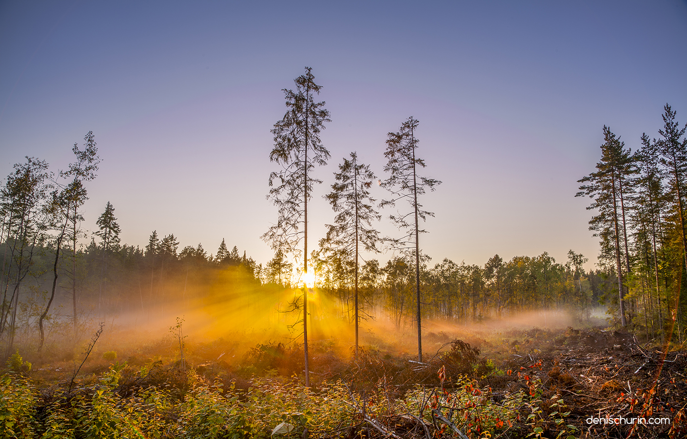 Farewell to the Summer. Прощание с летом